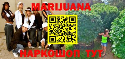 стаф Сланцы
