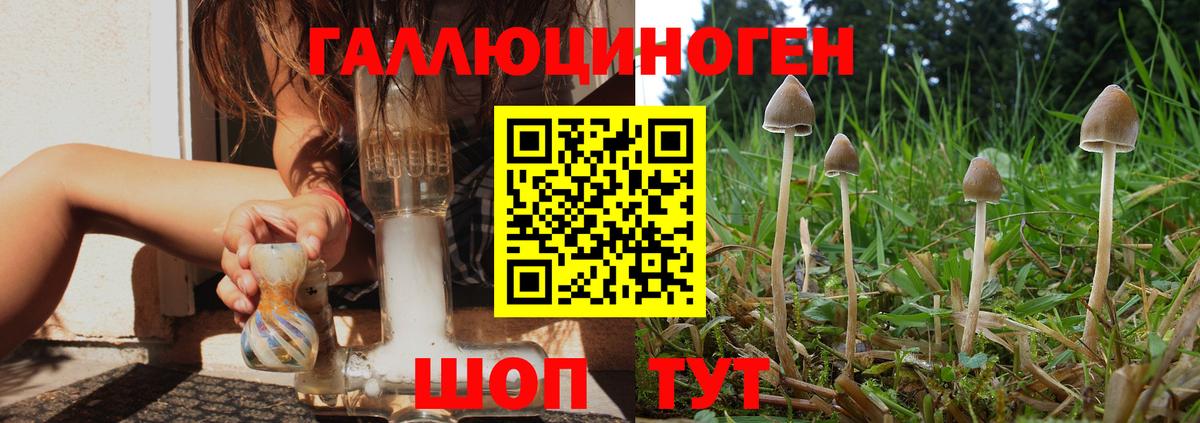 Галлюциногенные грибы Magic Shrooms Первоуральск